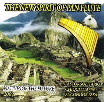 CD=>sale SANTIAGO CAMUENDO & JOSUE ARESTIGUE - The New Sp  beschikbaar voor biedingen
