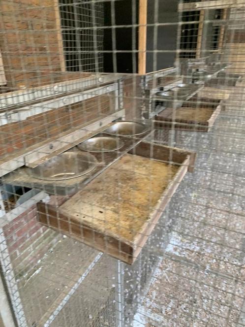 Volière met 5 vluchten, Dieren en Toebehoren, Vogels | Hokken en Kooien, Zo goed als nieuw, Volière, Aluminium, Ophalen