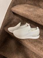 Nieuwe Hush Puppies dames sneakers maat 40 voor 25 euro, Kleding | Dames, Schoenen, Ophalen of Verzenden, Zo goed als nieuw, Sneakers of Gympen