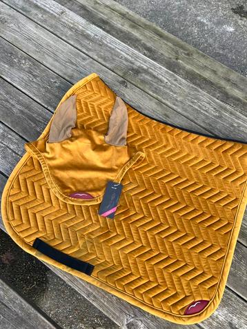 Animo set beschikbaar voor biedingen