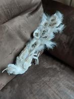 Pauw kerstsfeer, Diversen, Kerst, Ophalen of Verzenden