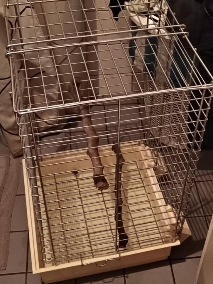 vogelkooi, Dieren en Toebehoren, Vogels | Hokken en Kooien, Gebruikt, Vogelkooi, Metaal, Ophalen