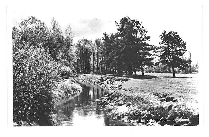 975557 De Dinkel bij Kribbenbrug Lutterzand Lutte Ov 1963, Verzamelen, Ansichtkaarten | Nederland, Gelopen, Overijssel, 1960 tot 1980