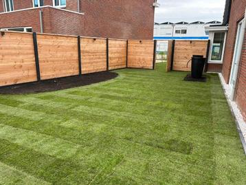 Schutting Douglas Hout-Beton beschikbaar voor biedingen