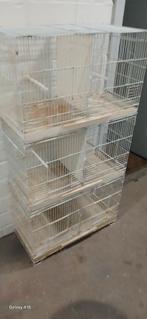 3-stuks-Gebruikt kooien voor kweek vogels, Ophalen of Verzenden, Gebruikt, Metaal, Broedkooi of Kweekkooi