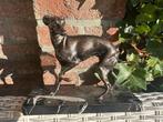 italiaans windhondje whippet beeld, Ophalen of Verzenden
