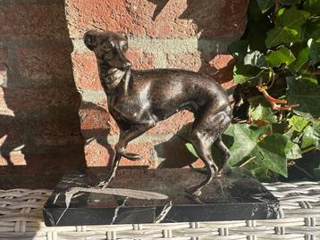italiaans windhondje whippet beeld  beschikbaar voor biedingen