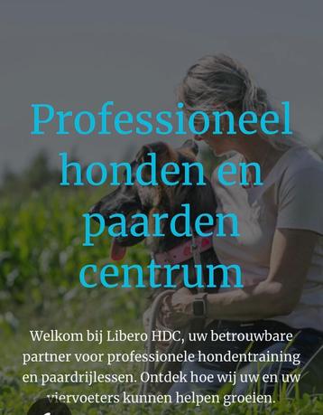 Paardrijlessen kinderen en volwassenen beschikbaar voor biedingen