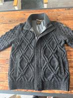 PME Legend - knitwear M, Kleding | Heren, Truien en Vesten, Maat 48/50 (M), Ophalen of Verzenden, Zo goed als nieuw, Grijs