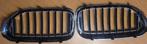 Grill BMW 520i G30/G31, Ophalen of Verzenden, Nieuw, BMW, Motorkap