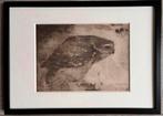 Jan Mankes 1889-1920 / Heliogravure Roofvogel op Tak 1923, Ophalen of Verzenden