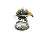 Warhammer 40K Tau Painted Army 2400 Points, Hobby en Vrije tijd, Wargaming, ., Warhammer, Ophalen of Verzenden, Zo goed als nieuw