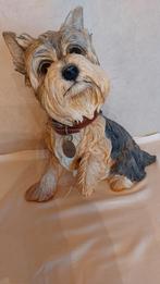 Postuur Pippin-Yorkshire Terriër, Ophalen of Verzenden