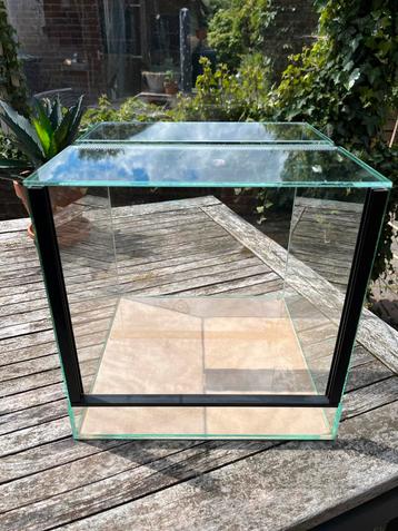 Terrarium insecten spinnenterrarium glas 30x30x30 beschikbaar voor biedingen