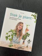 Stek je plant, Overige soorten, Volle zon, Vaste plant, Ophalen of Verzenden