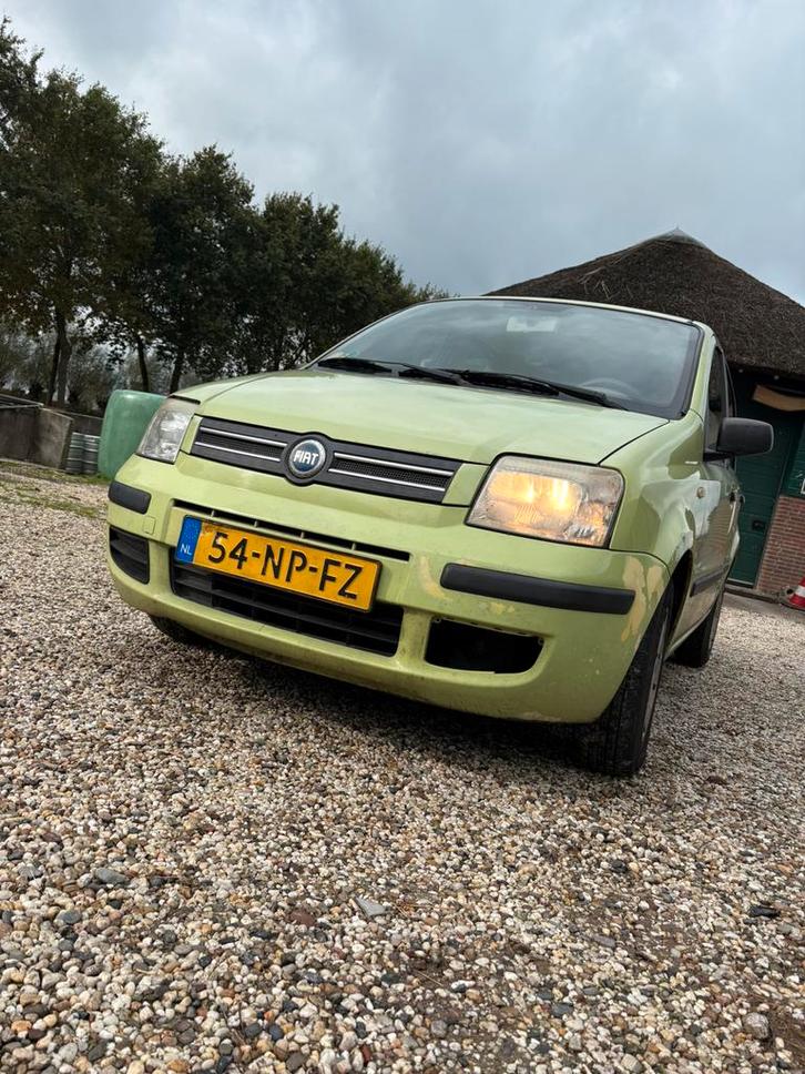 Fiat panda, Auto's, Fiat, Particulier, Panda, Benzine, Handgeschakeld, Groen, Voorwielaandrijving, Ophalen