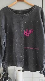 Sweater met opdruk - Leuk op jeans!, Ophalen of Verzenden, Zo goed als nieuw, Grijs