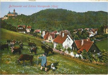 (701-487-037) Wernigerode beschikbaar voor biedingen