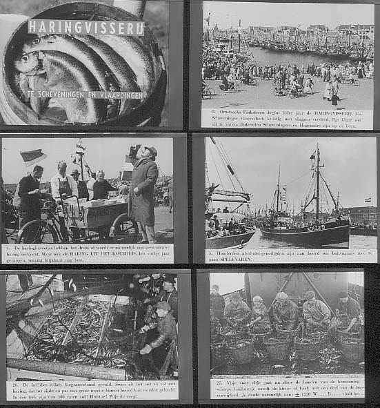HARING VISSERIJ te Scheveningen en Vlaardingen ca. 1950, Verzamelen, Scheepvaart, Gebruikt, Kaart, Foto of Prent, Motorboot, Ophalen of Verzenden