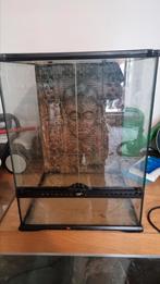 Exo terra 45x45x60, Dieren en Toebehoren, Reptielen en Amfibieën | Toebehoren, Ophalen, Gebruikt, Terrarium of Paludarium
