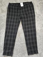 Nieuw prachtige transit par such broek maat 44 kaartjes, Kleding | Dames, Ophalen of Verzenden, Nieuw, Maat 42/44 (L)