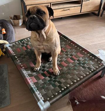 Hondenstretcher ✅ hondenmand hondenbed bench puppy dog bull  beschikbaar voor biedingen