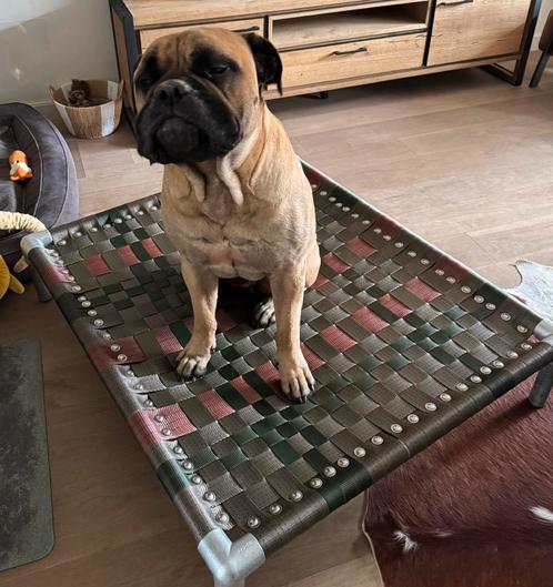 Hondenkussen ✅ hondenstretcher bench puppy dog bull, Dieren en Toebehoren, Hondenmanden, Zo goed als nieuw, Ophalen of Verzenden
