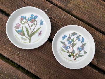 Portmeirion Botanic Garden beschikbaar voor biedingen