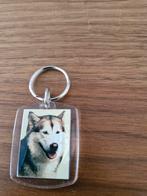 Sleutelhanger 563 Hond Siberische Husky, Ophalen of Verzenden, Zo goed als nieuw