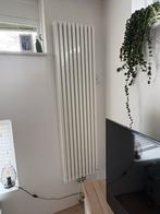 Plieger Radiator - Vertical Design, Doe-het-zelf en Verbouw, Verwarming en Radiatoren, Ophalen, Radiator, Minder dan 60 cm, 80 cm of meer