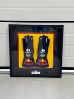 Max Verstappen Red Bull Racing F1 - 2024 handschoenen, Ophalen of Verzenden, Formule 1