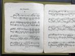 Johannes Brahms - 2 rapsodieën, Gebruikt, Klassiek, Ophalen of Verzenden, Artiest of Componist