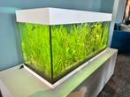 Juwel Aquarium incl. Meubel | Filter | Heater, Ophalen, Zo goed als nieuw, Leeg aquarium
