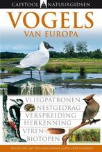 Vogels van Europa Auteur: Hume Rob, Ophalen of Verzenden, Zo goed als nieuw, Vogels