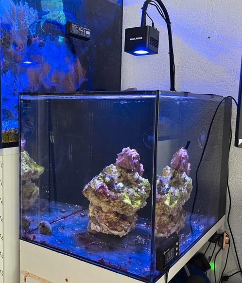 Waterbox peninsula 25 complete, Dieren en Toebehoren, Vissen | Aquaria en Toebehoren, Zo goed als nieuw, Ophalen