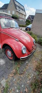 Kever Cabrio, Auto's, Oldtimers, Achterwielaandrijving, Beige, Cabriolet, Volkswagen