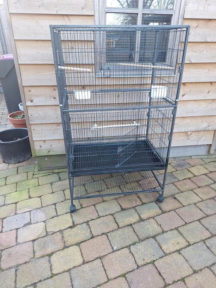 Leuke vogelkooi, Dieren en Toebehoren, Vogels | Hokken en Kooien, Vogelkooi, Metaal, Ophalen