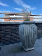 Bloempot, Ophalen, 40 cm of meer, Tuin, Zo goed als nieuw