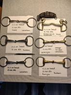 Te koop diverse bitten, Dieren en Toebehoren, Ophalen of Verzenden, Gebruikt, Overige soorten