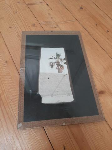 Fotolijst vintage palmboom Arabische foto beschikbaar voor biedingen