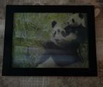 Panda Foto in Lijst, Ophalen, Zo goed als nieuw, Foto of Poster, Minder dan 50 cm