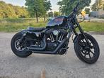 Harley Davidson Iron XL 1200 N   sportster bobber KEYLESS, Motoren, Motoren | Harley-Davidson, Chopper, Particulier, Meer dan 35 kW