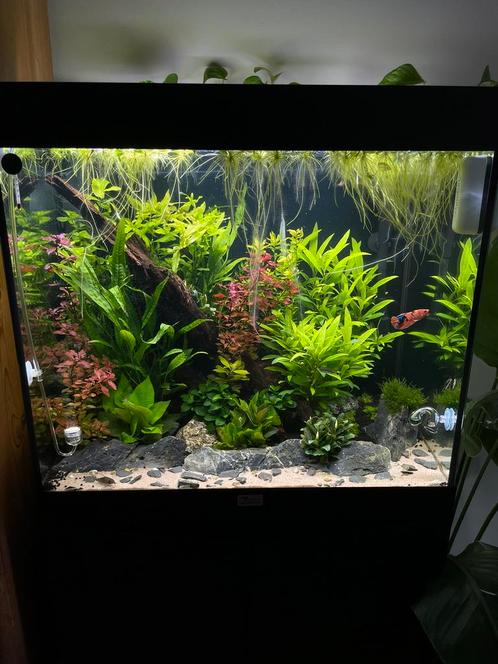 Aquatlantis Volga 120 met toebehoren, Dieren en Toebehoren, Vissen | Aquaria en Toebehoren, Zo goed als nieuw, Ophalen