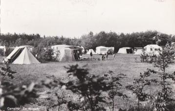 camping de wildert 1967   seppe beschikbaar voor biedingen