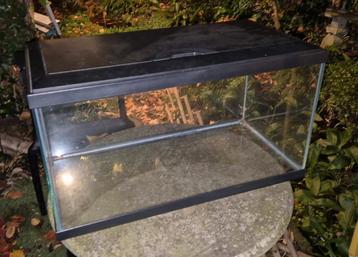 Aquarium beschikbaar voor biedingen