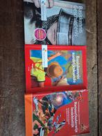 Boeken voor Pabo toelatingstoetsen, keuzedeel pabo., Ophalen of Verzenden, Gelezen, HAVO, Overige vakken