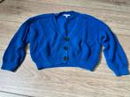 Blauw vest WE maat 110/116, Ophalen of Verzenden, Zo goed als nieuw, Meisje, Trui of Vest