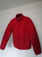 Tussenjas. Jack. Rood. Maat M, Ophalen of Verzenden, Gedragen, Maat 38/40 (M), Rood