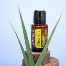 Citronella 15 Ml, Sport en Fitness, Gezondheidsproducten en Wellness, Nieuw, Ophalen of Verzenden