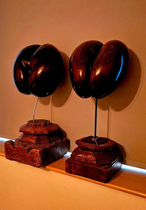 Coco de mer uit Seychellen op poer uit India - model rechts, Antiek en Kunst, Kunst | Designobjecten, Ophalen of Verzenden